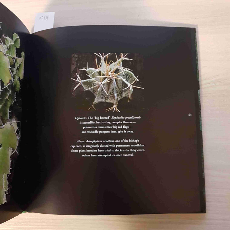 Succulents: Nature's Sculptural Wonders,Used