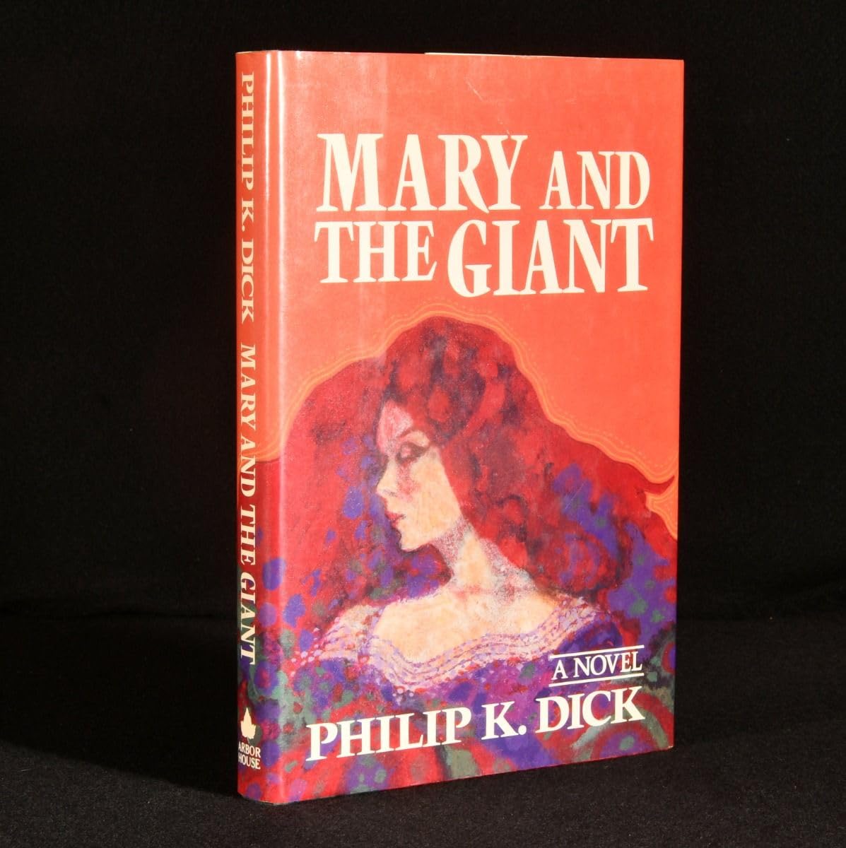 Mary And The Giant