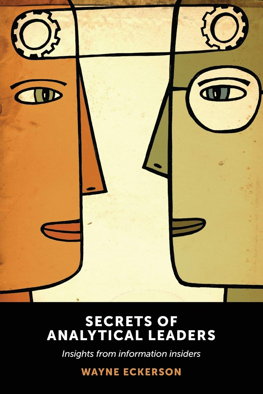Secrets of Analytical Leaders: Insights from Information Insiders,Used