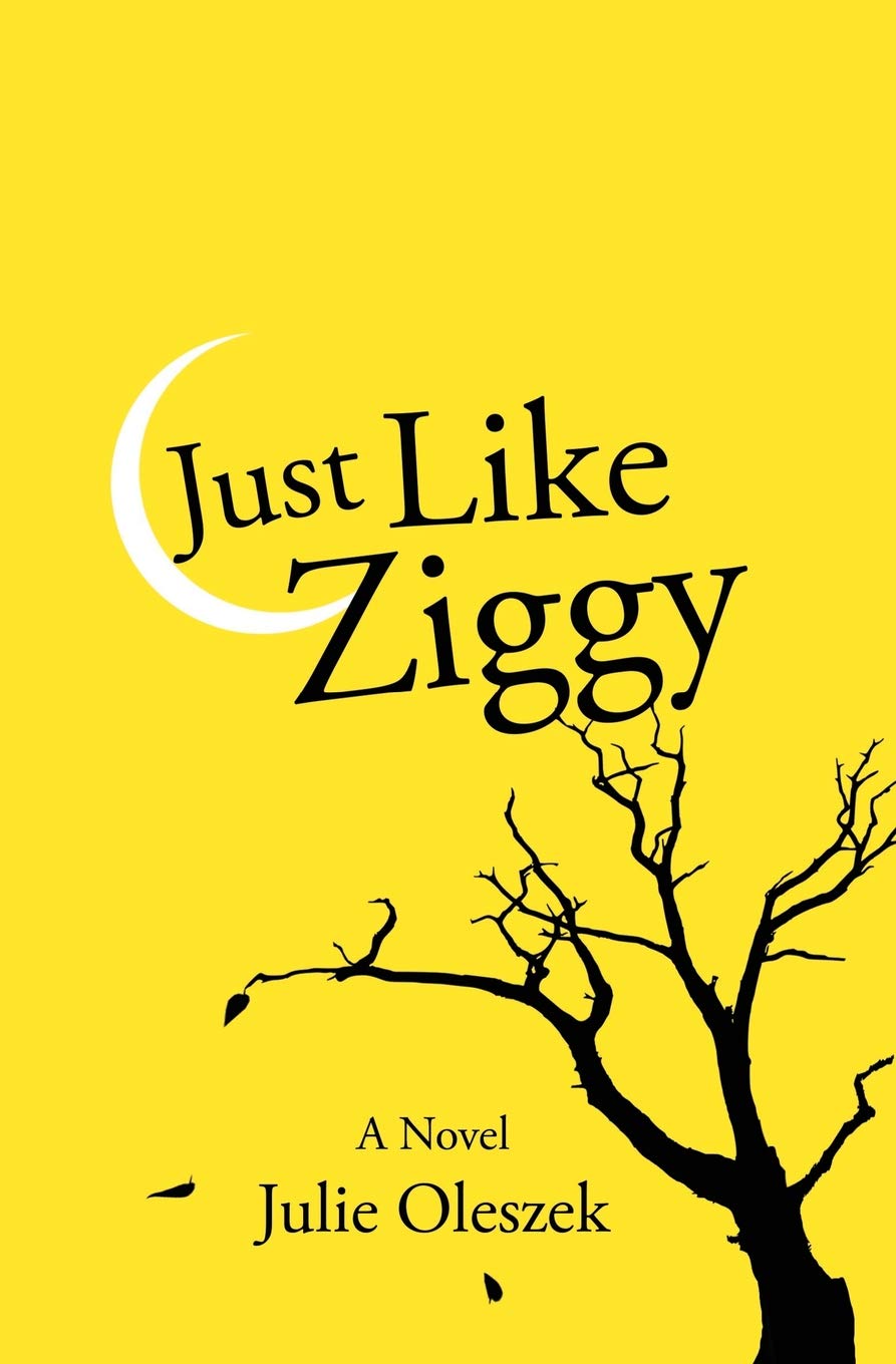 Just Like Ziggy (The Fifth Floor Trilogy),Used