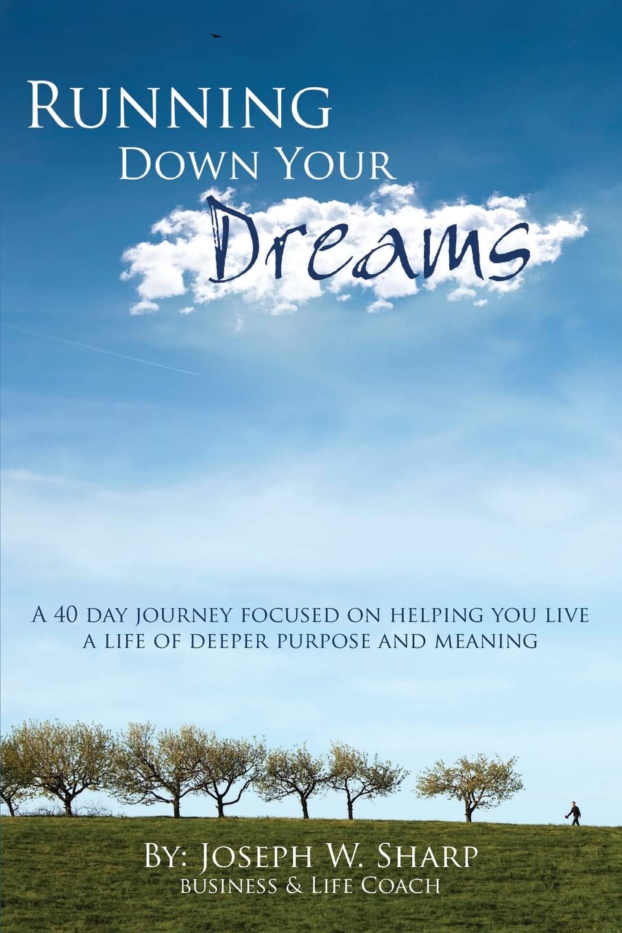 Running Down Your Dreams,Used