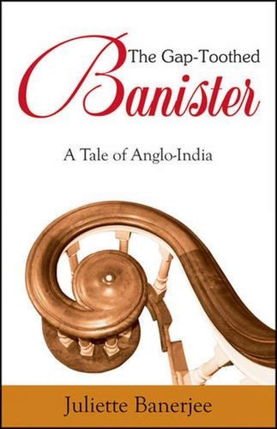 The Gap Toothed Banister: A Tale Of Angloindia,Used