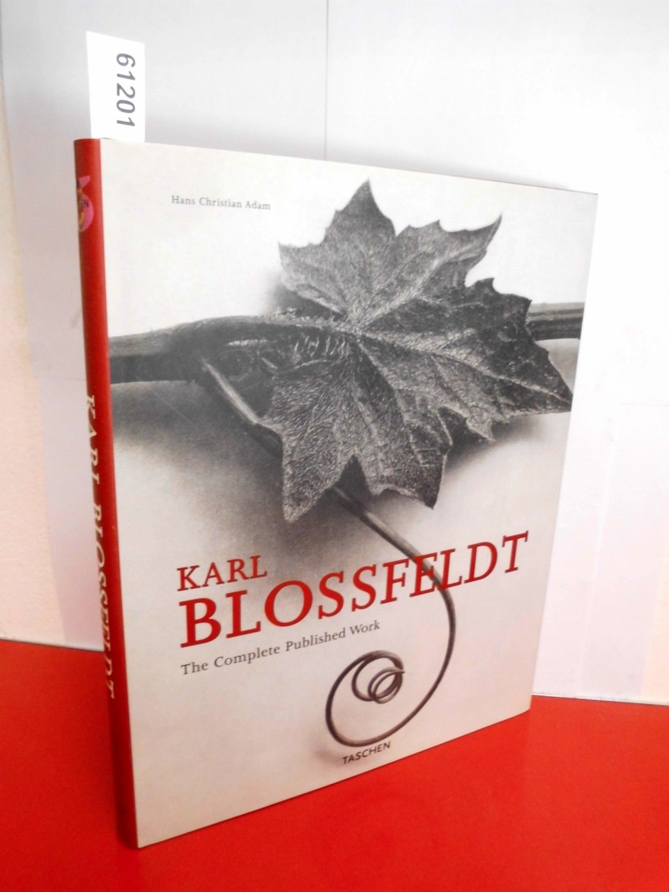 Blossfeldt