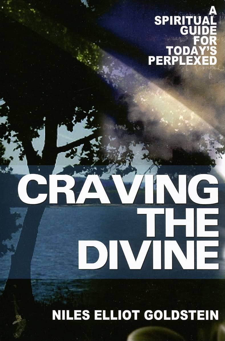 Craving the Divine: A Spiritual Guide for Today's Perplexed,Used
