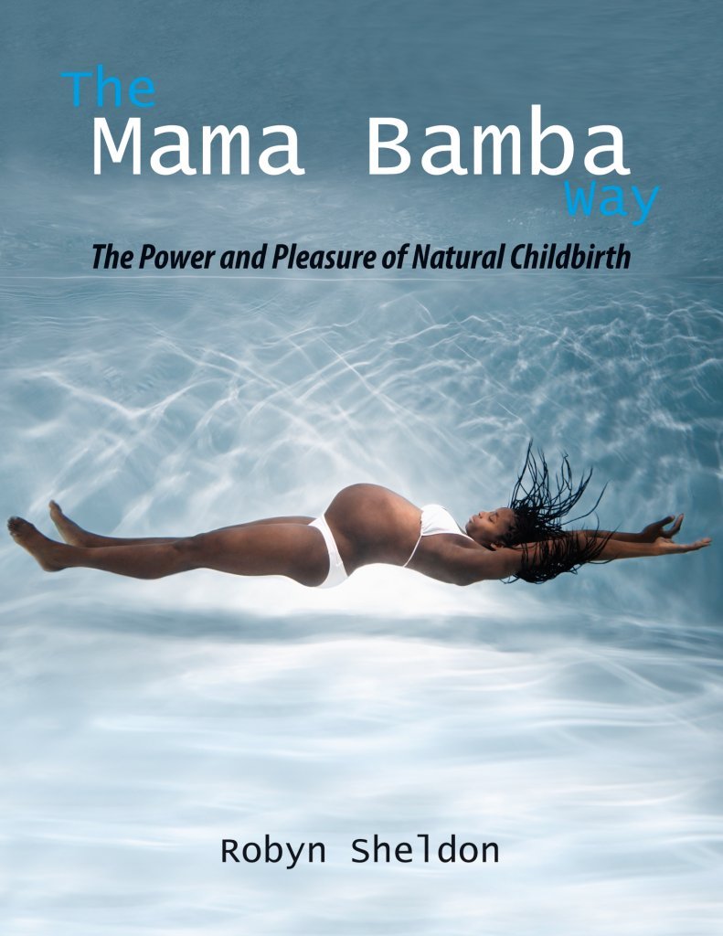 The Mama Bamba Way: The Power and Pleasure of Natural Childbirth,Used