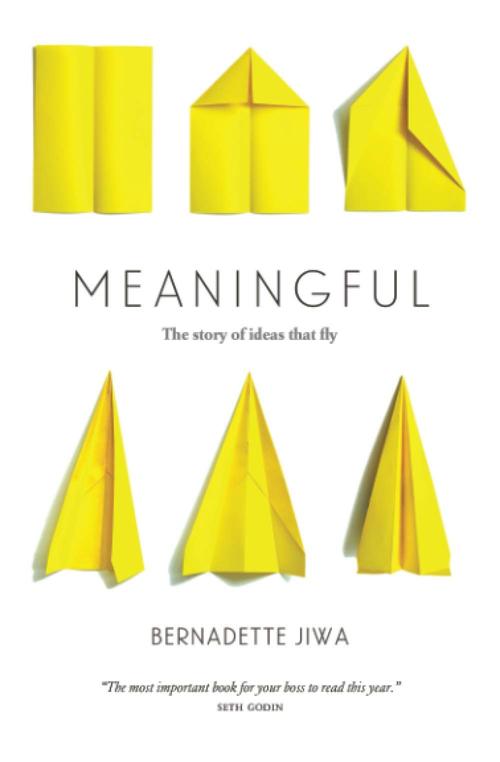 Meaningful: The Story of Ideas That Fly,New