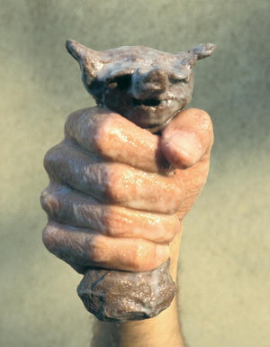 Lutz & Guggisberg,Used