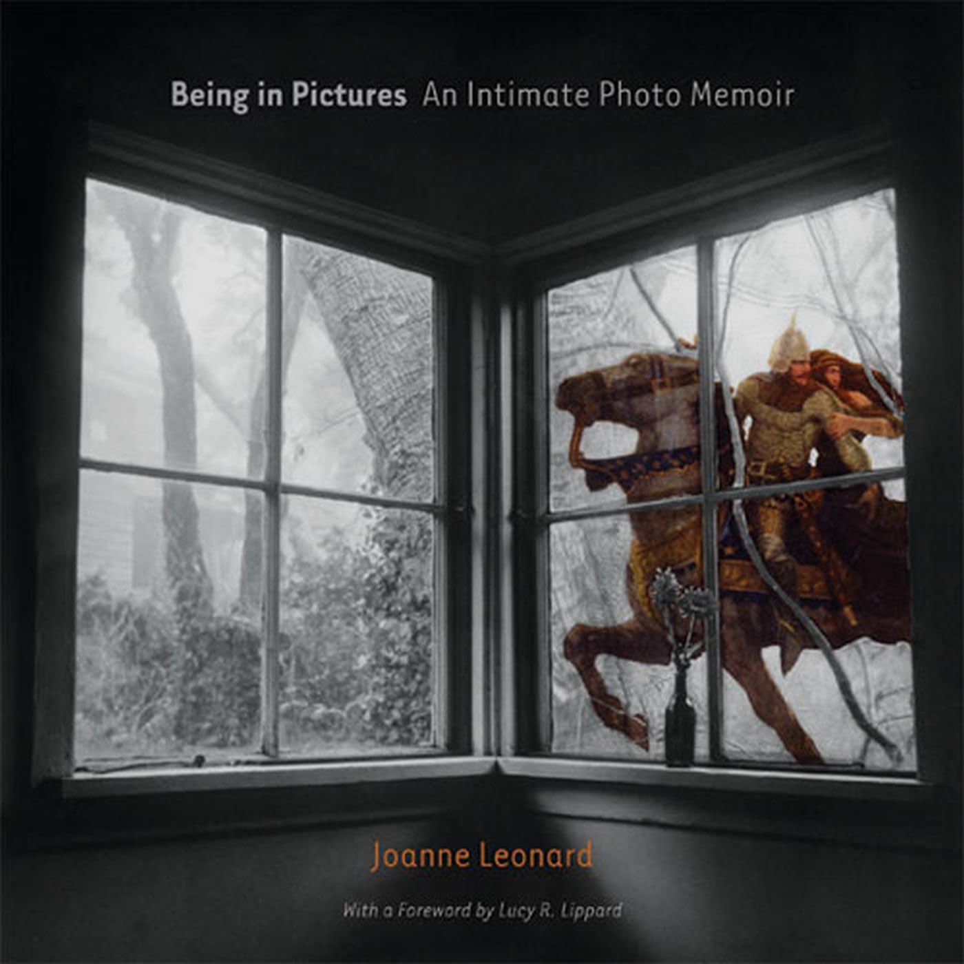 Being in Pictures: An Intimate Photo Memoir,Used