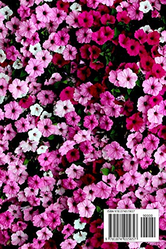 Composition Notebook: Pretty Flowers Theme Cover For School Kids and Adults that Love Nature and Creative Writing,Used