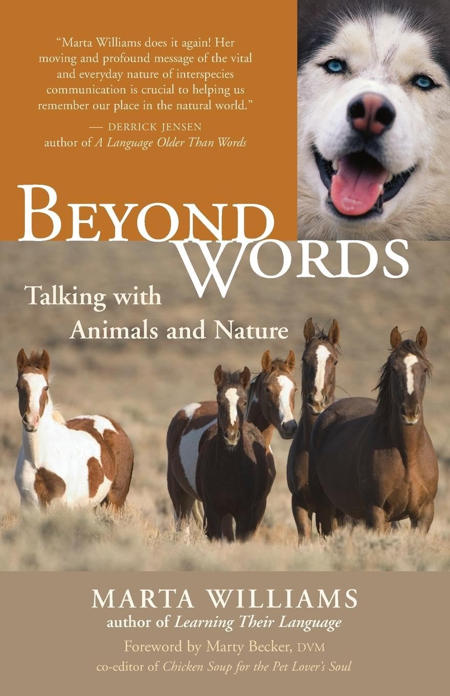 Beyond Words: Talking with Animals and Nature,Used