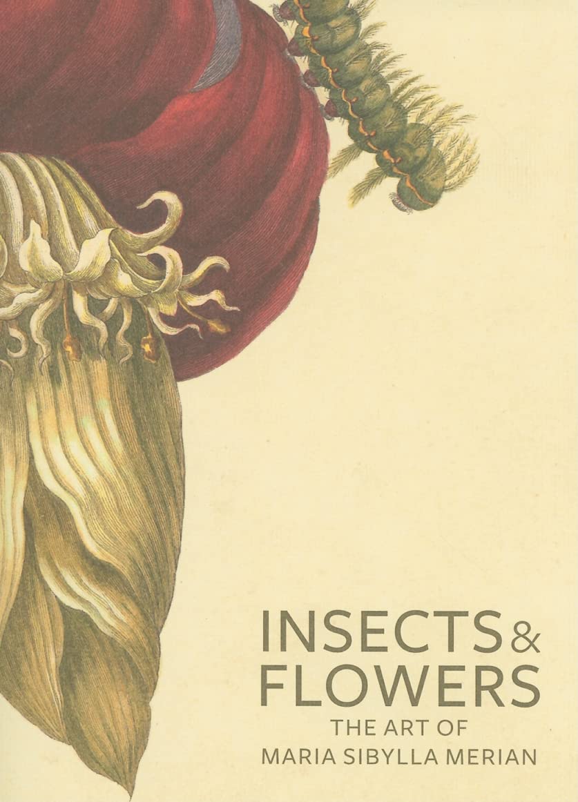 Insects and Flowers: The Art of Maria Sibylla Merian,Used