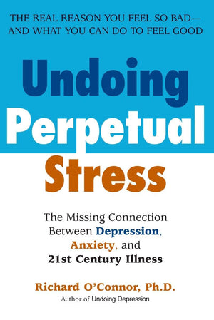 Undoing Perpetual Stress: The Missing Connection Between Depression, Anxiety And 21Stcentury Illness