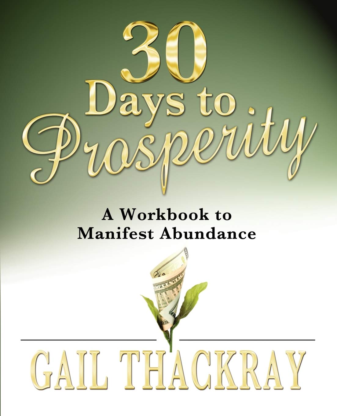 30 Days to Prosperity: A Workbook to Manifest Abundance,New