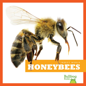 Honeybees (Bullfrog Books: Insect World),Used