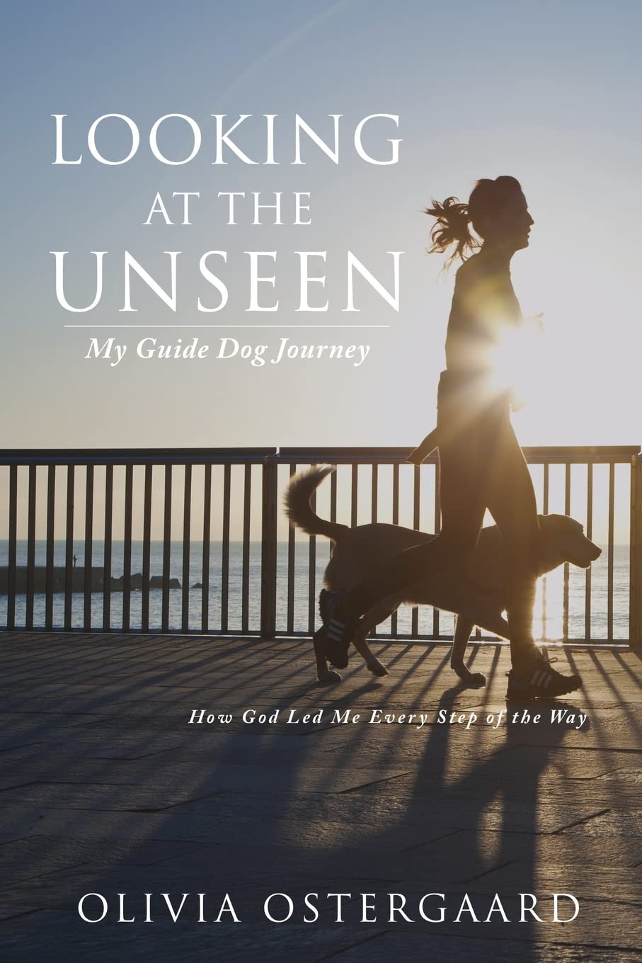 Looking at the Unseen: My Guide Dog Journey,Used