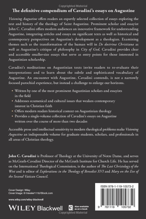 Visioning Augustine (Challenges in Contemporary Theology),Used