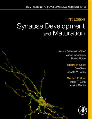 Synapse Development and Maturation: Comprehensive Developmental Neuroscience,Used