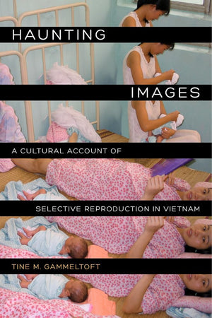 Haunting Images: A Cultural Account of Selective Reproduction in Vietnam (Philip E. Lilienthal Books),Used