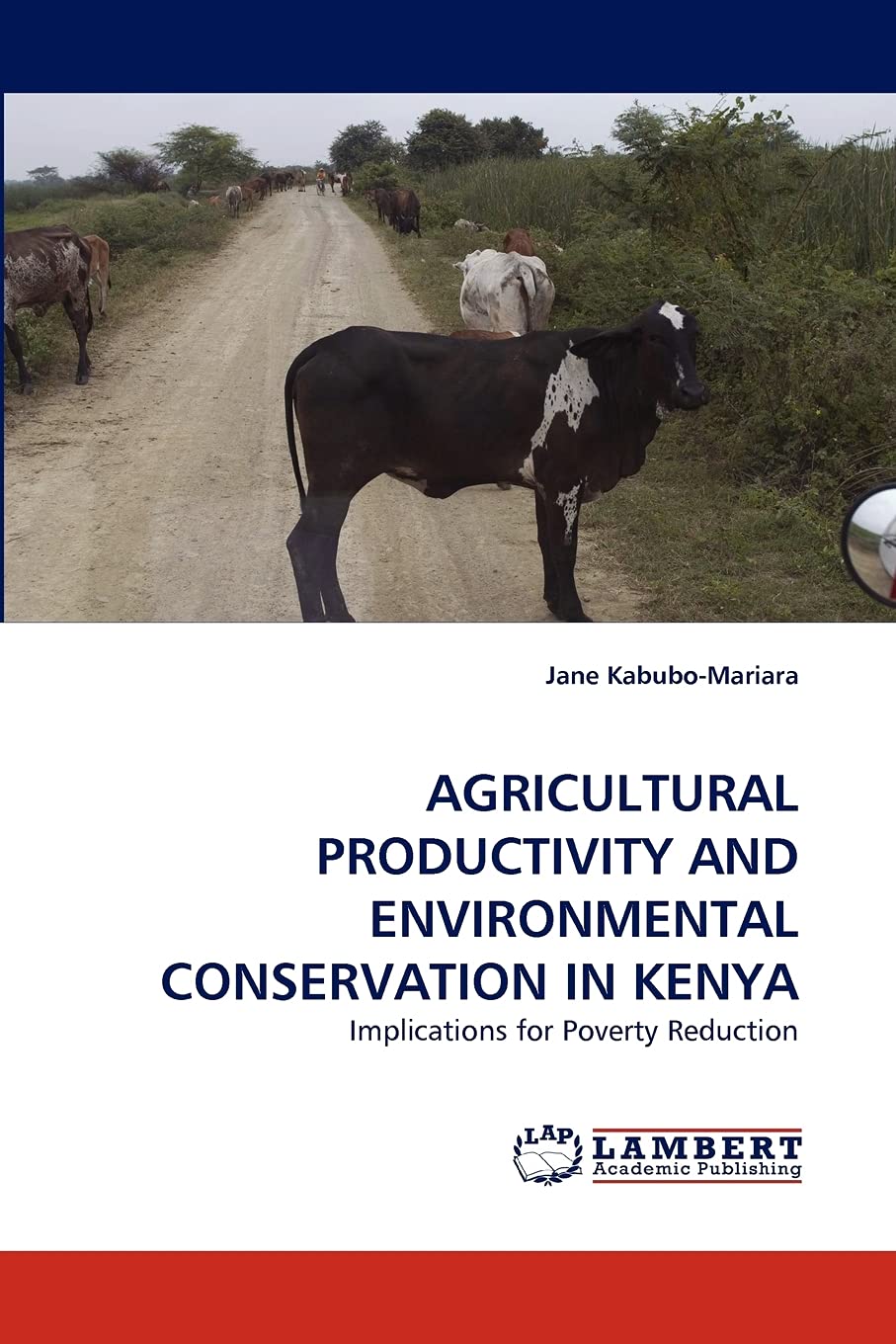 AGRICULTURAL PRODUCTIVITY AND ENVIRONMENTAL CONSERVATION IN KENYA: Implications for Poverty Reduction,Used