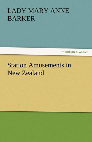 Station Amusements in New Zealand,Used