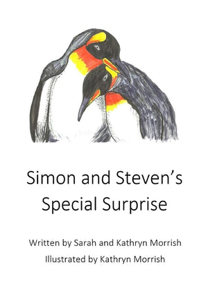 Simon and Steven's Special Surprise,Used