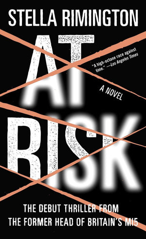 At Risk: A Novel,Used