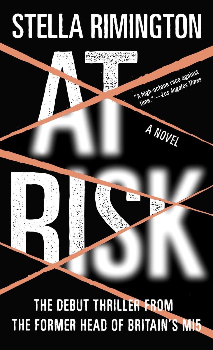At Risk: A Novel,Used