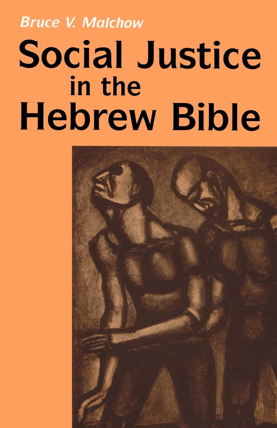 Social Justice in the Hebrew Bible: What Is New and What Is Old (Religious Orders),Used