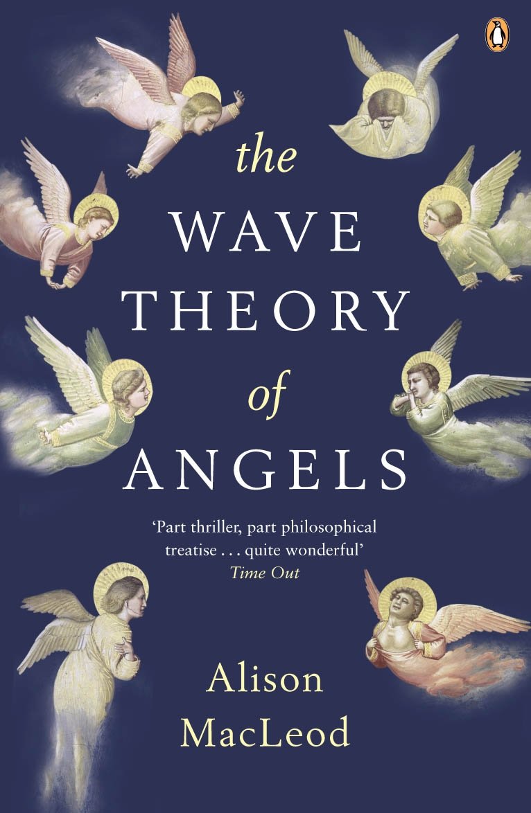 The Wave Theory of Angels,Used