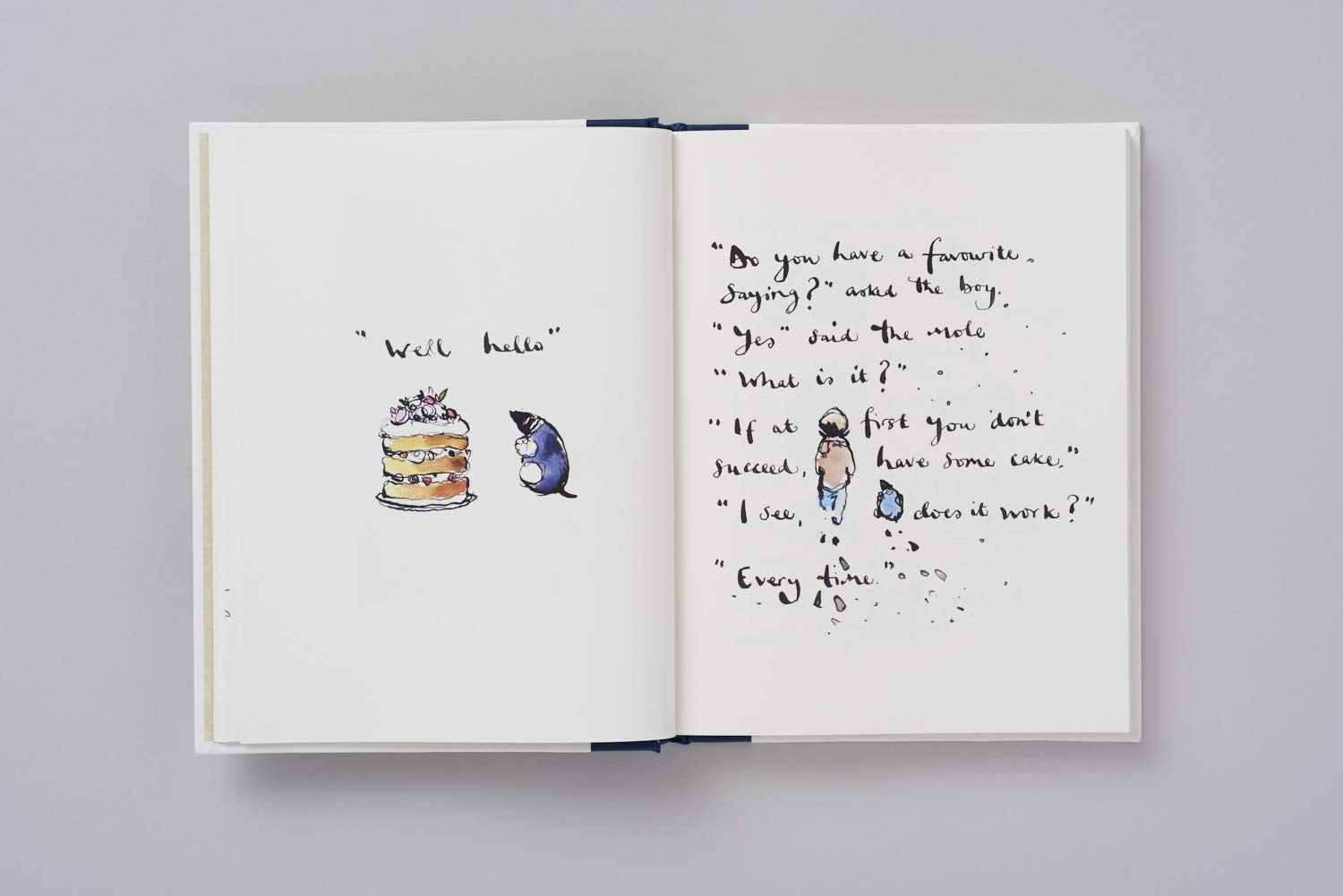 The Boy, The Mole, The Fox and The Horse /anglais,New