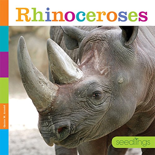 Rhinoceroses (Seedlings)