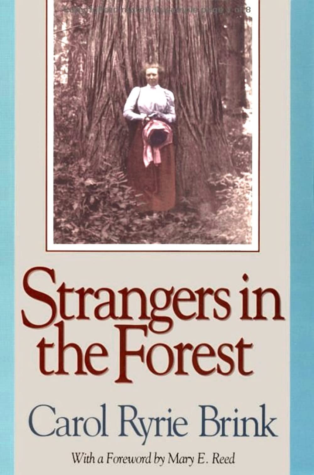 Strangers In The Forest,New