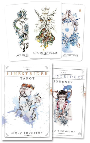 The Linestrider Tarot (Linestrider Tarot, 1),Used