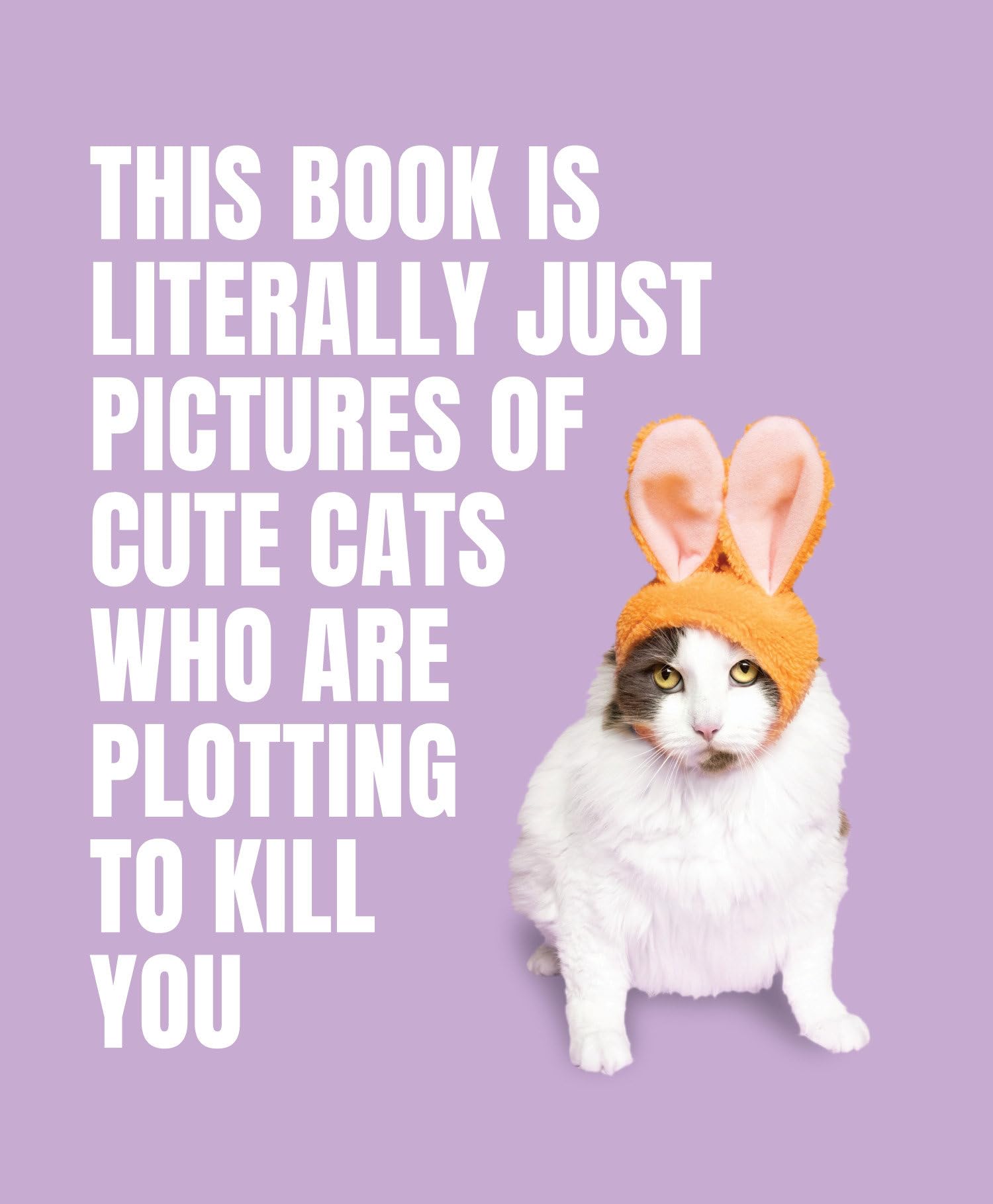 This Book is Literally Just Pictures of Cute Cats Who Are Plotting to Kill You,New