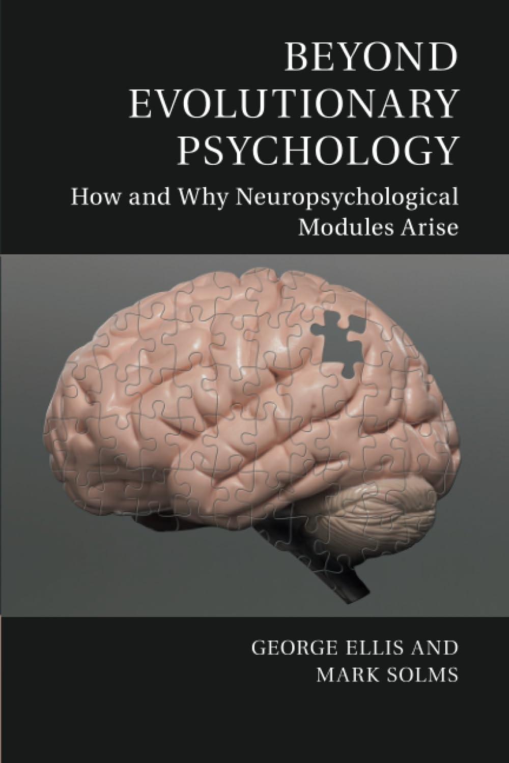 Beyond Evolutionary Psychology: How and Why Neuropsychological Modules Arise (Culture and Psychology),Used
