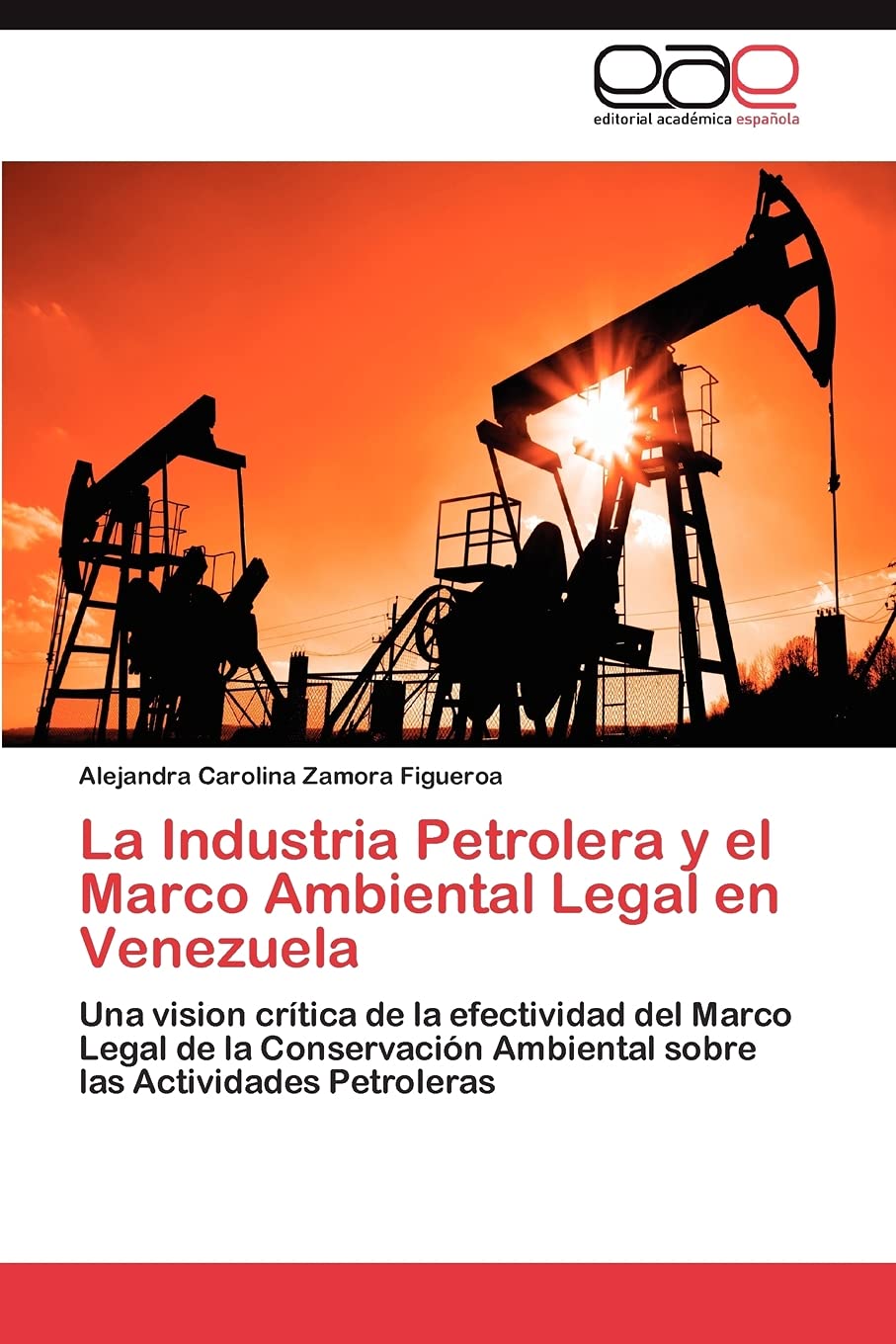 La Industria Petrolera y el Marco Ambiental Legal en Venezuela: Una vision crtica de la efectividad del Marco Legal de la Cons,Used