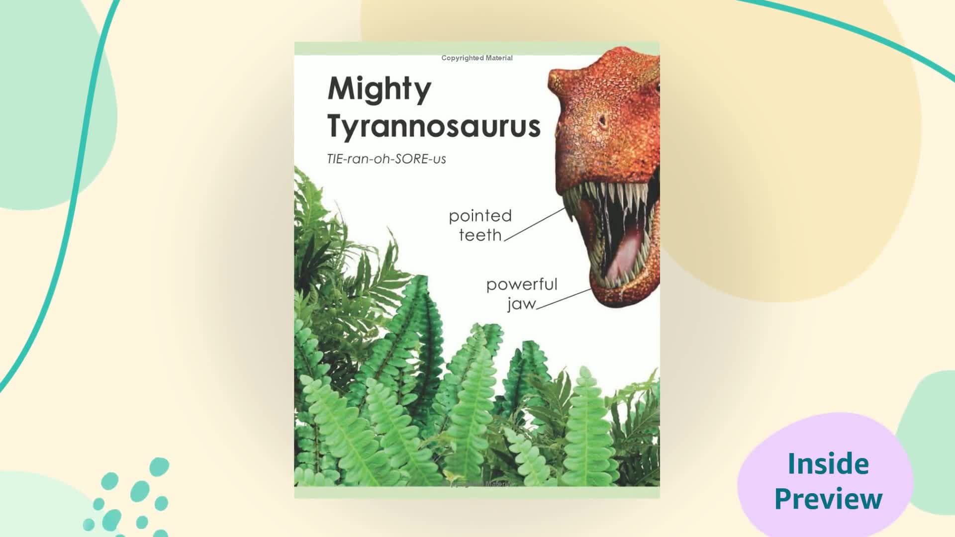 My First Dinosaur Board Book (My First series),Used