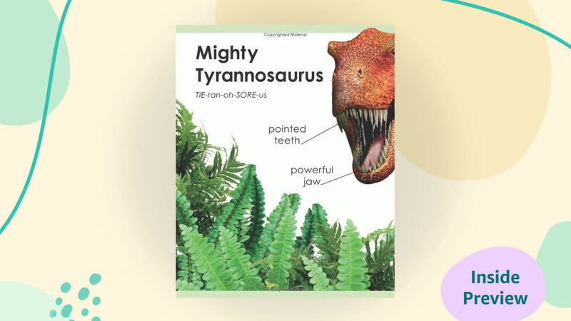 My First Dinosaur Board Book (My First series),Used