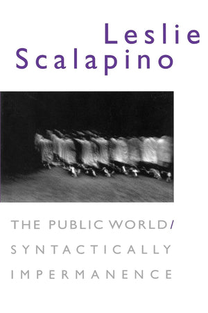 The Public World / Syntactically Impermanence,Used