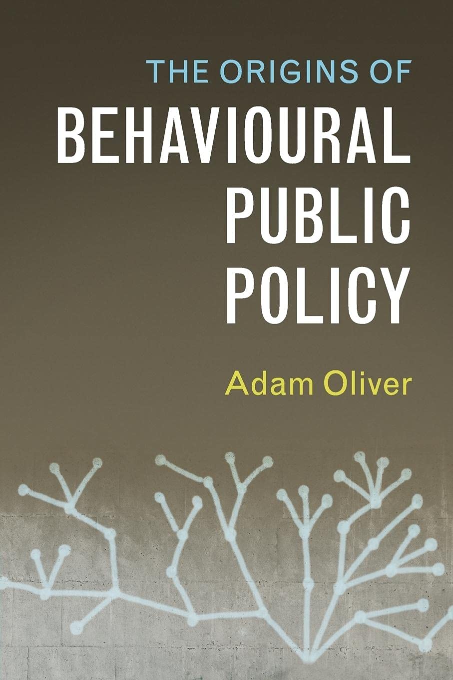 The Origins of Behavioural Public Policy,Used