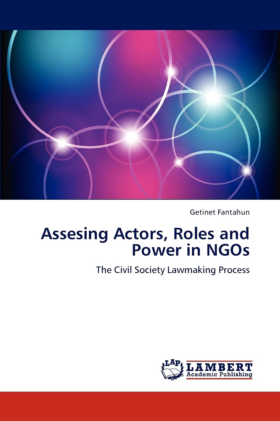 Assesing Actors, Roles and Power in NGOs: The Civil Society Lawmaking Process,Used