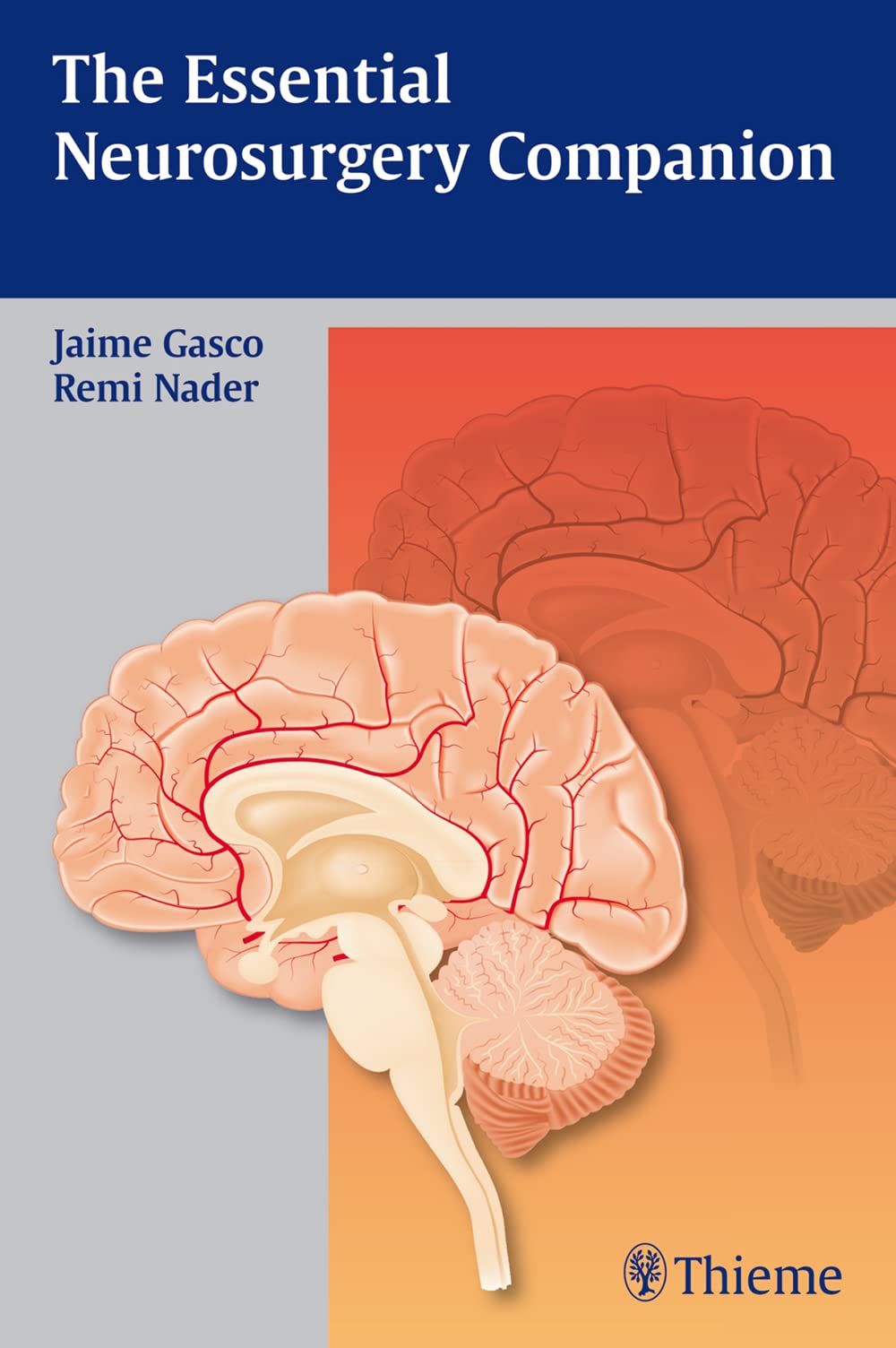 The Essential Neurosurgery Companion,Used