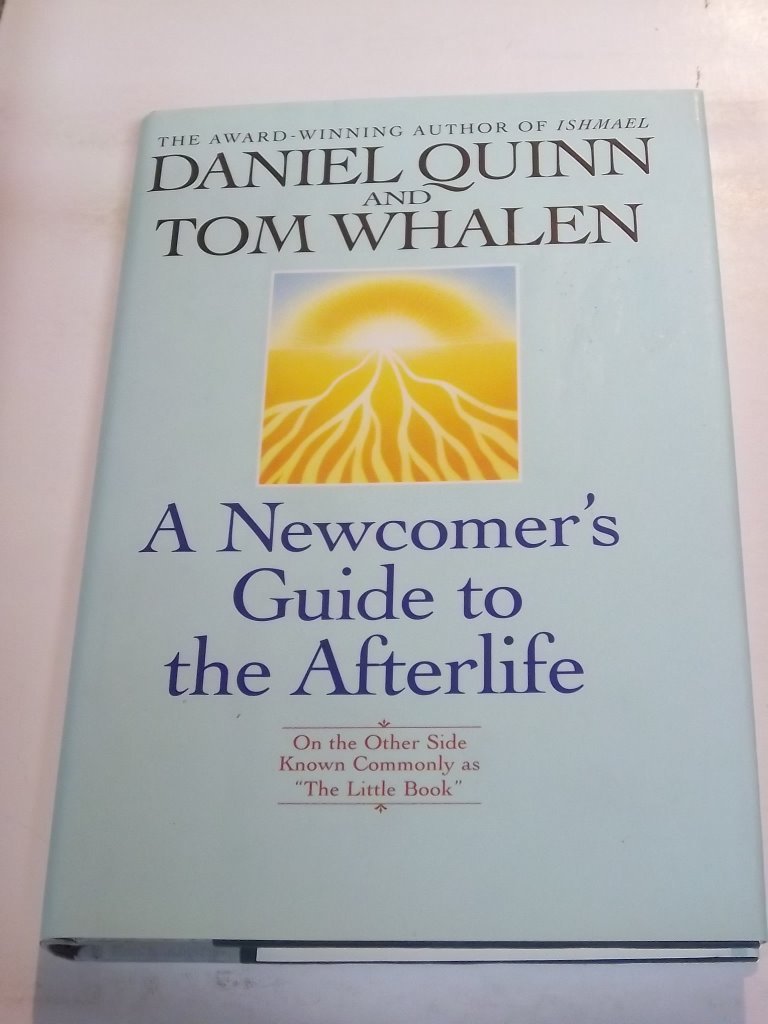 A Newcomer's Guide to the Afterlife,Used