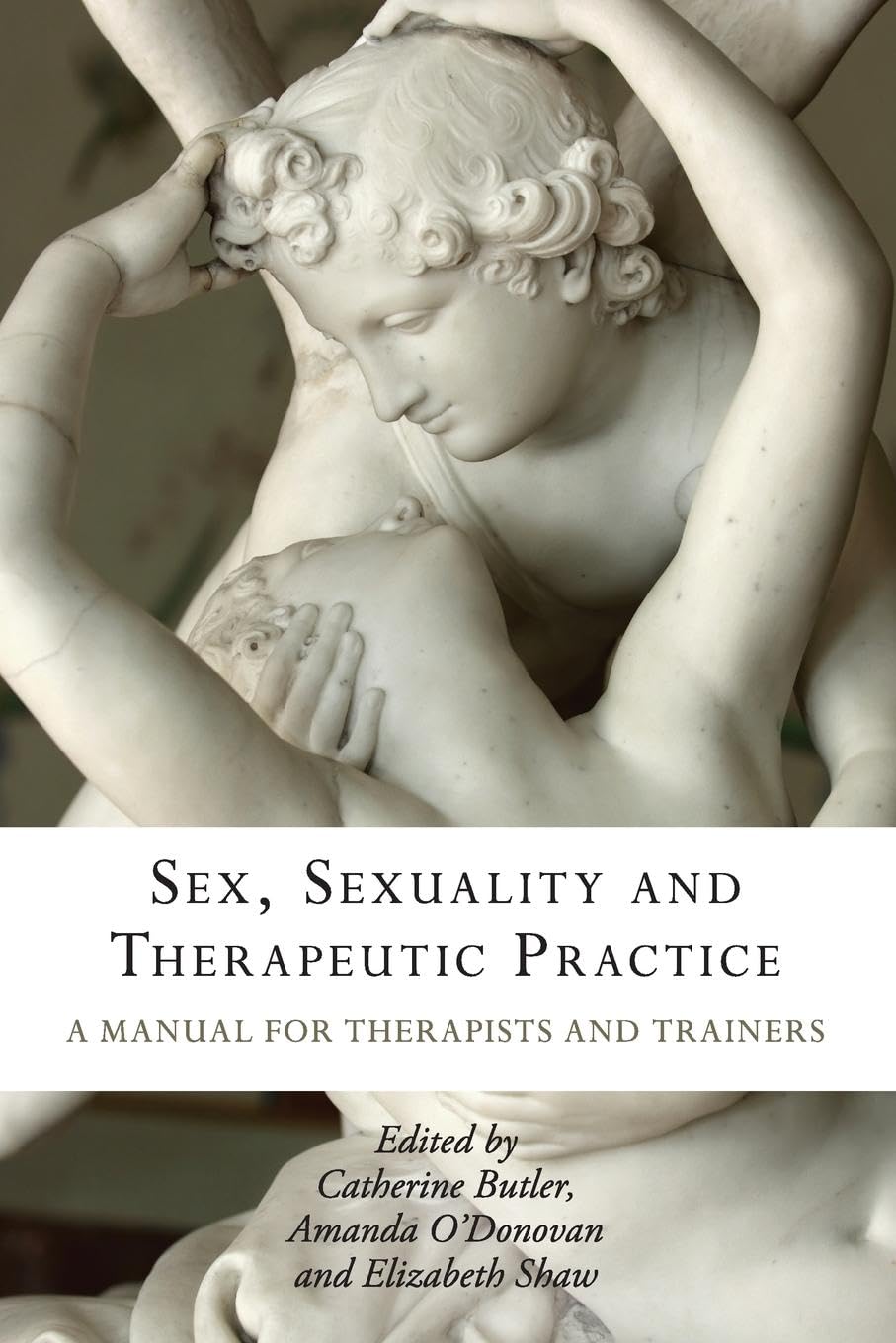 Sex, Sexuality and Therapeutic Practice: A Manual for Therapists and Trainers,Used