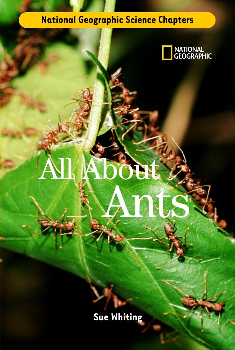 Science Chapters: All About Ants,Used