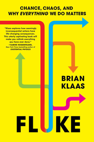 Fluke: Chance, Chaos, And Why Everything We Do Matters,New