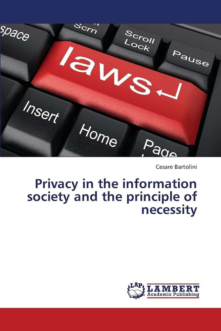 Privacy in the information society and the principle of necessity,Used