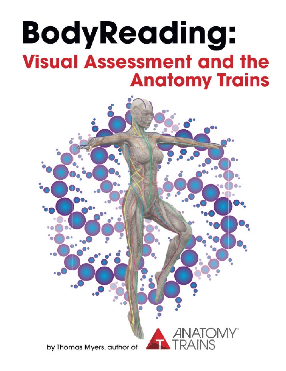 BodyReading: Visual Assessment and the Anatomy Trains,Used