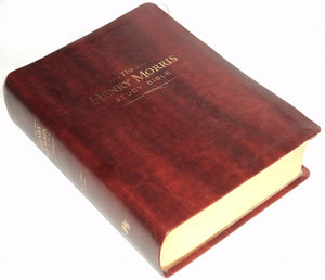 KJVHenry Morris Study Bible (Imitation Leather)