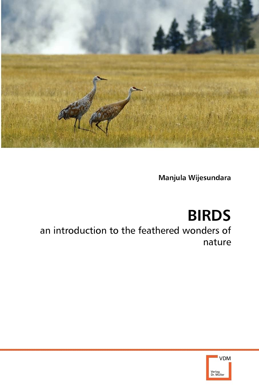 BIRDS: an introduction to the feathered wonders of nature,Used